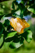 Coopmonsters Hair Clip: Collab Yellow GInkgo - always a.line